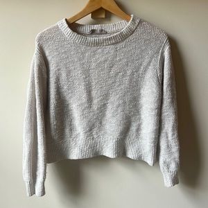 EVERLANE | Beige Cotton Linen Crew Sweater | XS